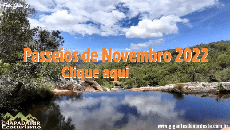 novembro 2022
